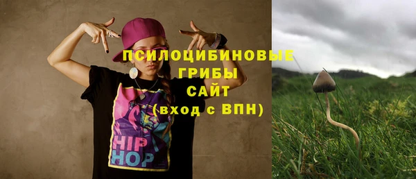 винт Новозыбков
