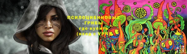 СК Нягань