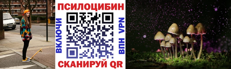Псилоцибиновые грибы Psilocybe  кракен   Красноуфимск 
