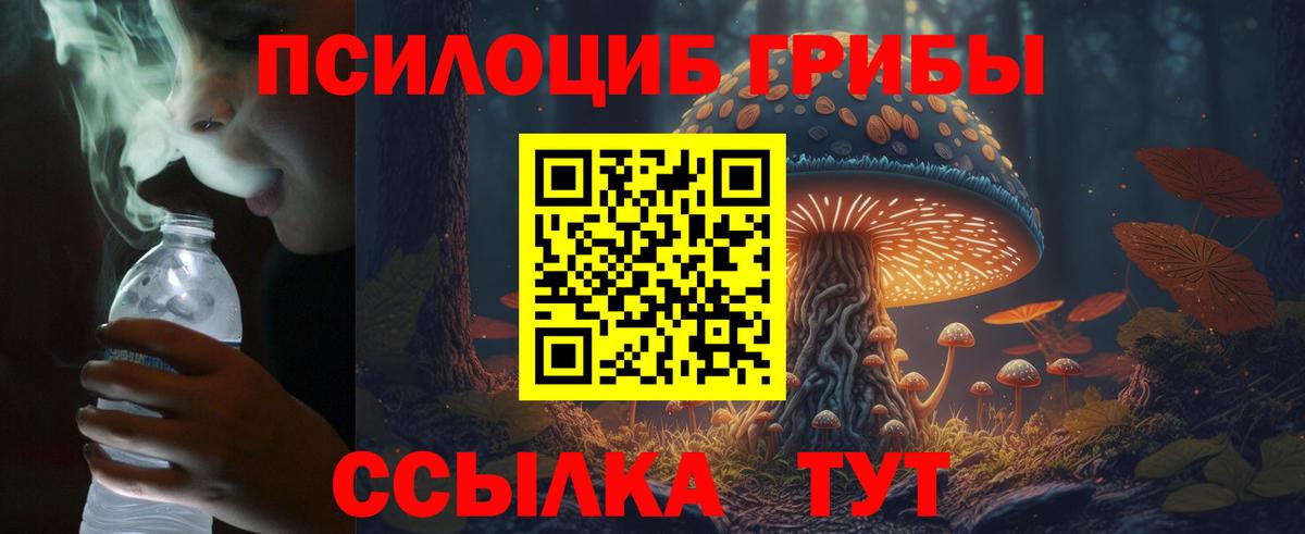 Красноуфимск  Галлюциногенные грибы Cubensis  Псилоцибиновые грибы мухоморы  Вход с VPN 